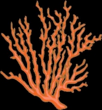 missing: ../jpgs/images-print-artist-drawings/CORAL 10.jpg
